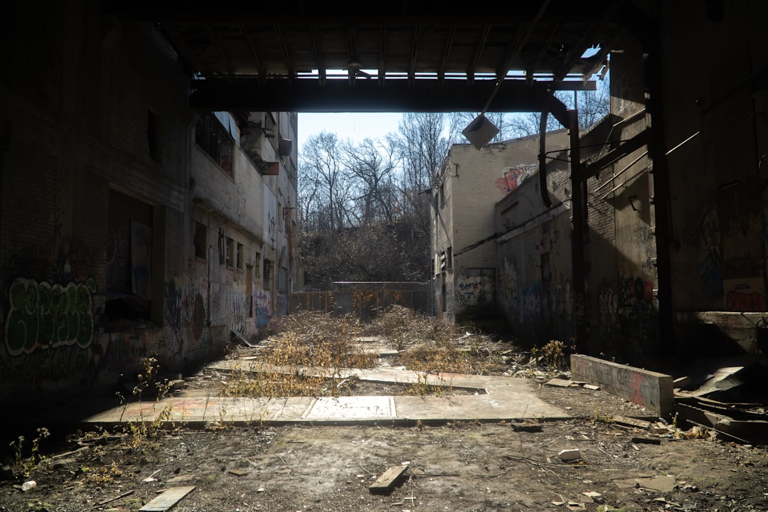 Crafting Captivating Headlines: Your awesome post title goes here brown-wooden-house-near-trees-during-daytime-q4okpycqra0